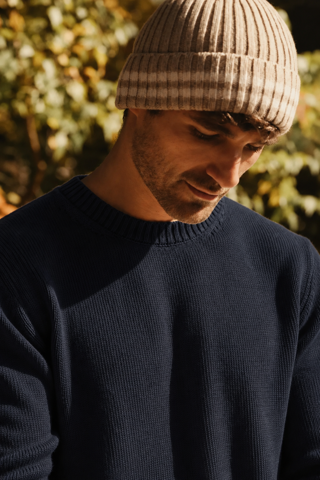 Cotton crew sweater, ribbed crew neck and cuffs, dark navy knit